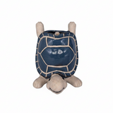 Portapianta tartaruga Arpimex 14,5cm, apertura 6cm: decorazione originale per interni e terrazze. ean 8018318481901