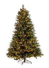 immagine-1-bizzotto-albero-berkshire-h-180-cm-3-744-rami-1-300-led-ean-8051836500228