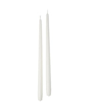 Cereria Di Giorgio Candele Coniche D 2,2 Cm H 40 Cm Tortora 6 Pz