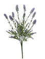 immagine-1-conti-mazzo-lavanda-h-49-cm-purple-ean-8032971342751