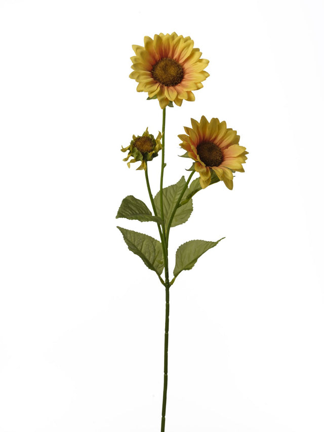 immagine-1-conti-ramo-girasole-h-62-cm-x-3-yellow-ean-8032971338266