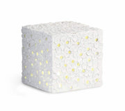 Cupido&Co. Cubo Bianco con Fiori e Led 100 x 100 x 100 Mm con Scatola