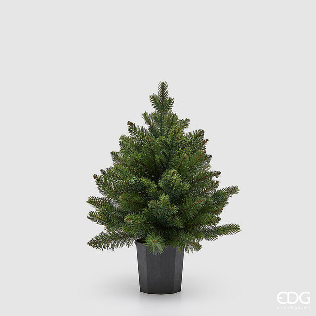 immagine-1-edg-enzo-de-gasperi-albero-di-natale-pino-argentato-verde-con-vaso-h-45-cm-green-ean-8059824452900