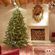 edg enzo de gasperi albero di natale pino luxury h240 d152 con 5000 led green