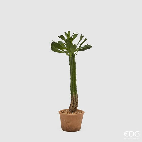 immagine-1-edg-enzo-de-gasperi-cactus-west-con-vaso-carta-h-53-cm-colore-verde-ean-8056372987144