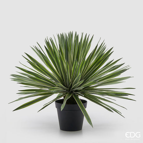 edg enzo de gasperi edg enzo de gasperi agave con vaso pianta artificiale h 65 cm verde ean 8059824518255