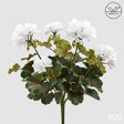 edg enzo de gasperi edg enzo de gasperi bouganvillea cespuglio x5 con foglie anti uv pianta artificiale h 40 cm bianco ean 8059824658036