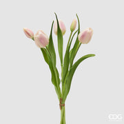 EDG Enzo De Gasperi Bouquete Tulipano Chiuso X4 H 40 Cm con Bocciolo Bianco Rosa