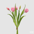 edg enzo de gasperi edg enzo de gasperi bouquete tulipano chiuso x4 h 40 cm con bocciolo rosa scuro ean 8059824612809