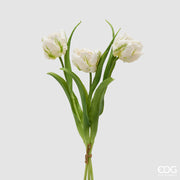 EDG Enzo De Gasperi Bouquete Tulipano Parrot X3 H 40 Cm con Bocciolo Bianco
