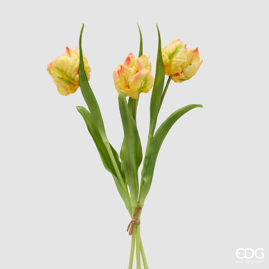 EDG Enzo De Gasperi Bouquete Tulipano Parrot X3 H 40 Cm con Bocciolo G ...