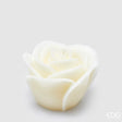 edg enzo de gasperi edg enzo de gasperi candela rosa sugar h 10 cm d 13 cm avorio ean 8059824419507
