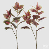 edg enzo de gasperi edg enzo de gasperi coleus ramo con bocciolo h 85 cm ass verde rosa 1 pz ean 8059824580122