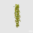 edg enzo de gasperi edg enzo de gasperi echeveria olis cespuglio cadente h 44 cm pianta artificiale verde ean 8059824213617