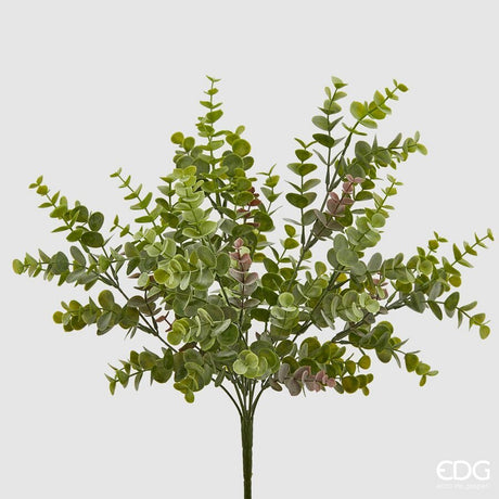 edg enzo de gasperi edg enzo de gasperi eucalipto cespuglio h 44 cm verde ean 8059824451439
