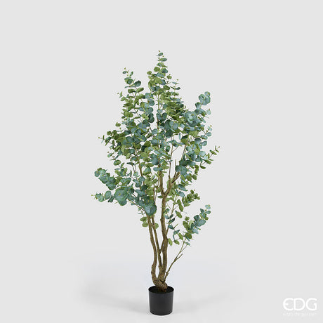 edg enzo de gasperi edg enzo de gasperi eucalipto con vaso h 210 cm pianta artificiale verde ean 8059824607461
