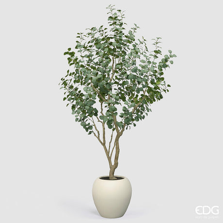 edg enzo de gasperi edg enzo de gasperi eucalipto con vaso h 244 cm pianta artificiale verde ean 8059824607287