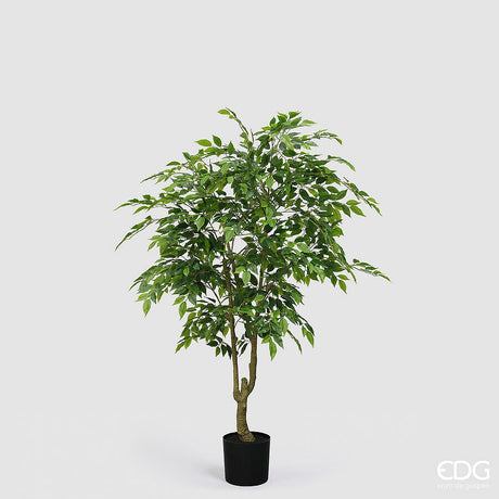 edg enzo de gasperi edg enzo de gasperi ficus beniamino vogue con vaso pianta artificiale h 156 cm verde ean 8059824607348