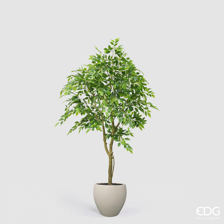 edg enzo de gasperi edg enzo de gasperi ficus beniamino vogue con vaso pianta artificiale h 170 cm verde ean 8059824607331
