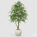 edg enzo de gasperi edg enzo de gasperi ficus beniamino vogue con vaso pianta artificiale h 224 cm verde ean 8059824607317