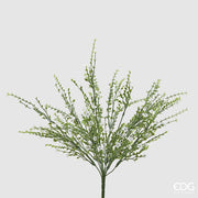 EDG Enzo De Gasperi Ginestra Cespuglio Pianta Artificiale H 55 Cm Bianco