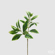 edg enzo de gasperi edg enzo de gasperi ligustro ramo h 73 cm pianta artificiale giallo verde ean 8059824606822