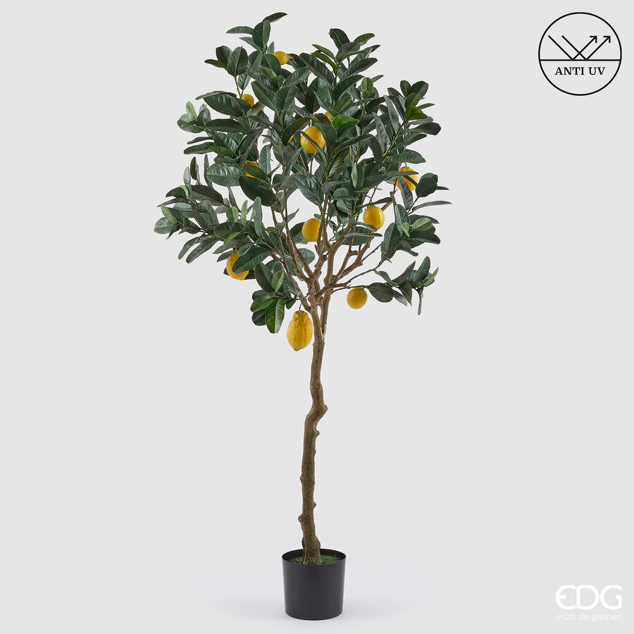 edg enzo de gasperi edg enzo de gasperi limone anti uv x13 con vaso pianta artificiale h 184 cm verde giallo ean 8059824655448