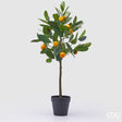 edg enzo de gasperi edg enzo de gasperi mandarino con vaso h 76 cm pianta artificiale mix verde ean 8059824355911