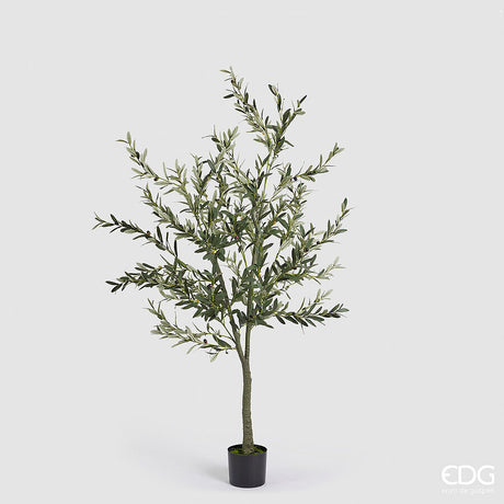 edg enzo de gasperi edg enzo de gasperi olivo con vaso h 190 cm pianta artificiale verde ean 8059824378644