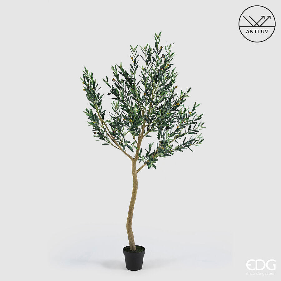 edg enzo de gasperi edg enzo de gasperi olivo con vaso h 200 cm pianta artificiale anti uv verde ean 8059824607607