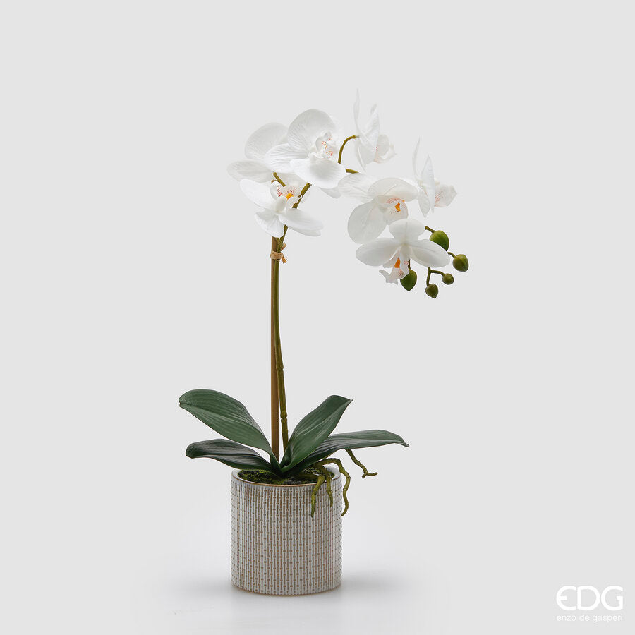 edg enzo de gasperi edg enzo de gasperi orchidea phalaenopsis con foglie e vaso h 47 cm pianta artificiale bianco ean 8059824513656