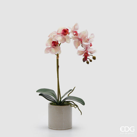 edg enzo de gasperi edg enzo de gasperi orchidea phalaenopsis con foglie e vaso h 47 cm pianta artificiale bianco rosa ean 8059824513670