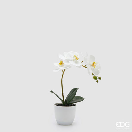 edg enzo de gasperi edg enzo de gasperi orchidea phalaenopsis con vaso e foglie h 40 cm pianta artificiale bianco ean 8059824513533