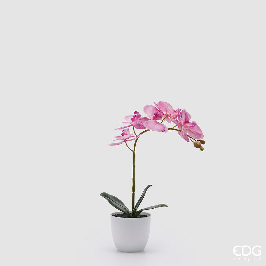 edg enzo de gasperi edg enzo de gasperi orchidea phalaenopsis con vaso e foglie h 40 cm pianta artificiale fuchsia ean 8059824513571