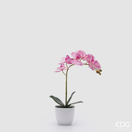 edg enzo de gasperi edg enzo de gasperi orchidea phalaenopsis con vaso e foglie h 40 cm pianta artificiale fuchsia ean 8059824513571