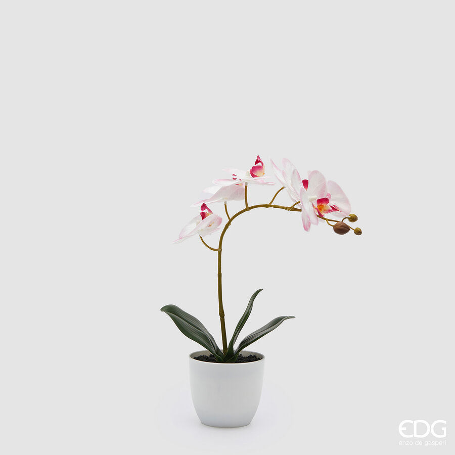 edg enzo de gasperi edg enzo de gasperi orchidea phalaenopsis con vaso e foglie h 40 cm pianta artificiale rosa chiaro ean 8059824513557
