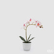 edg enzo de gasperi edg enzo de gasperi orchidea phalaenopsis con vaso e foglie h 40 cm pianta artificiale rosa chiaro ean 8059824513557