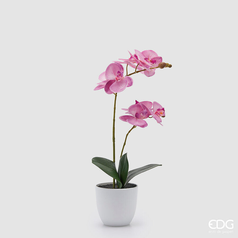 edg enzo de gasperi edg enzo de gasperi orchidea phalaenopsis con vaso e foglie h 50 cm pianta artificiale fuchsia ean 8059824513632