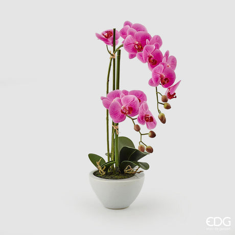 edg enzo de gasperi edg enzo de gasperi orchidea phalaenopsis real x2 con vaso h 50 cm pianta artificiale fuchsia ean 8054184927310