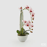 edg enzo de gasperi edg enzo de gasperi orchidea phalaenopsis real x2 con vaso h 50 cm pianta artificiale rosa ean 8054184927303