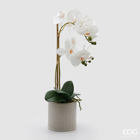 edg enzo de gasperi edg enzo de gasperi orchidea phalaenopsis x2 con foglie e vaso h 51 cm pianta artificiale bianco ean 8059824513717