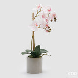 edg enzo de gasperi edg enzo de gasperi orchidea phalaenopsis x2 con foglie e vaso h 51 cm pianta artificiale rosa chiaro ean 8059824513755