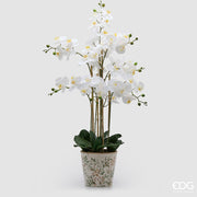 EDG Enzo De Gasperi Orchidea Phalaenopsis x8 con Bocciolo e Vaso Pianta Artificiale H 90 Cm Bianco