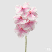 EDG Enzo De Gasperi Orchidea Vanda Ramo H 65 Cm Pianta Artificiale Bianco Rosa
