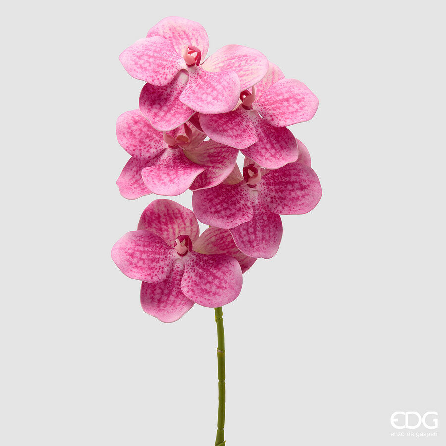 edg enzo de gasperi edg enzo de gasperi orchidea vanda ramo h 65 cm pianta artificiale fuchsia ean 8059824615428