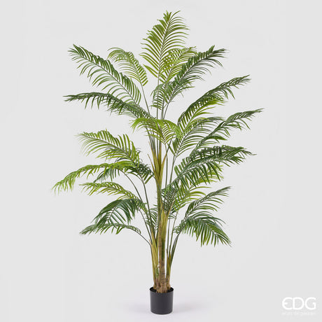 edg enzo de gasperi edg enzo de gasperi palma areca vogue con vaso pianta artificiale h 250 cm verde ean 8059824607386