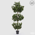 edg enzo de gasperi edg enzo de gasperi pianta artificiale agrifoglio h 188 cm con vaso anti uv verde per interno ed esterno ean 8059824655318