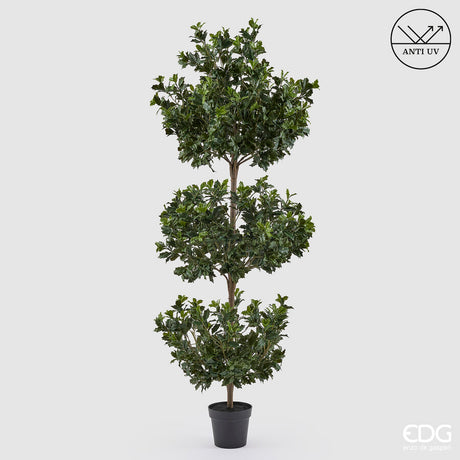 edg enzo de gasperi edg enzo de gasperi pianta artificiale agrifoglio h 188 cm con vaso anti uv verde per interno ed esterno ean 8059824655318
