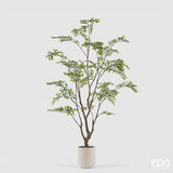 edg enzo de gasperi edg enzo de gasperi pianta artificiale bucida buceras vogue con vaso h 210 cm pianta decorativa realistica design moderno ean 8059824655080