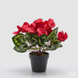 edg enzo de gasperi edg enzo de gasperi pianta artificiale ciclamino con foglie e vaso h 32 cm fuchsia pianta decorativa realistica design moderno ean 8059824518040